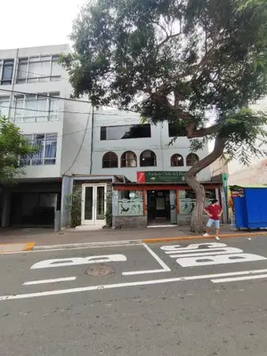 a person walking down a street next to a tree at Céntrica y amplia habitación queen Av Larco in Lima