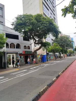 a city street with a tree on the side of the road at Céntrica y amplia habitación queen Av Larco in Lima
