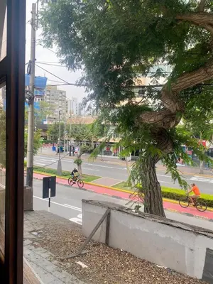 a tree on the side of a street with people riding bikes at Habitación céntrica con vistas Larco in Lima
