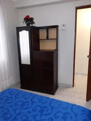 a wooden cabinet with a plant on it in a room at Modern Apartmen Furnished in Lima Near the Airport in Lima
