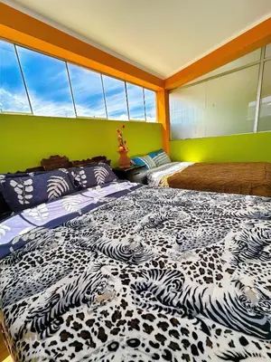 a bedroom with a zebra print bed in a room with windows at Departamento completo cerca de la Plaza ,cocina equipada y vista a la ciudad in Ayacucho
