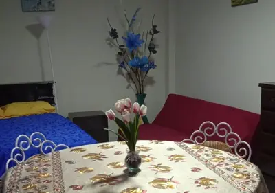 a table with a vase with flowers on it at Studio with kitchen and Bathroom Near The Airport in Lima