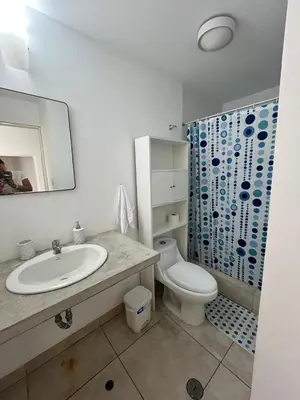 a bathroom with a sink and a toilet and a shower at Comfortable duplex - Punta Hermosa in Punta Hermosa