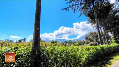 a sign in front of a hedge with mountains in the background at La Casa de Darío - Hospedaje y Casa de Campo en Oxapampa con Piscina in Oxapampa