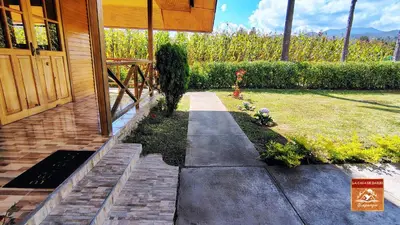 a walkway next to a house with a yard at La Casa de Darío - Hospedaje y Casa de Campo en Oxapampa con Piscina in Oxapampa