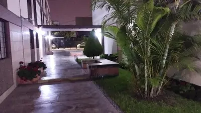a palm tree sitting next to a building at night at Magdalena del Mar, mejor ubicación imposible in Lima