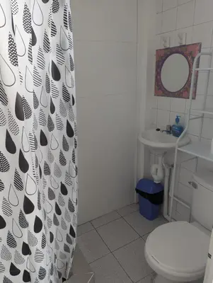 a bathroom with a toilet and a shower curtain at Amplia habitación en centro de Lima in Lima