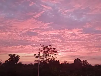a sunset with a palm tree in the foreground at Casa Sunampe Chincha - 2do Piso in Sunampe