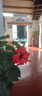 a red flower on a plant in a room at Punto Sur Lodge - Chincha in Chincha Alta