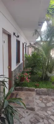 a house with a courtyard with flowers and plants at Punto Sur Lodge - Chincha in Chincha Alta