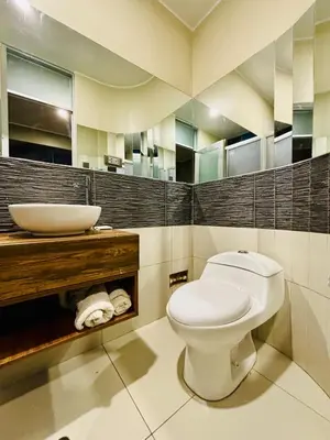 a bathroom with a white toilet and a sink at Hotel Qhawaq Huancayo in Huancayo