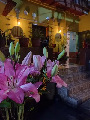 a bunch of pink flowers in a vase at Posada Escondida in Cusco