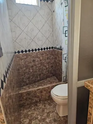 a bathroom with a toilet and a shower at Hotel Atenas in Lima