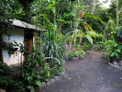 a garden with a house in the jungle at Bella Victoria Ecolodge in Santa María