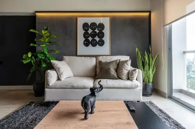 a black cat standing in a living room with a couch at Stelar by Geko in Lima
