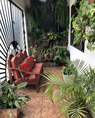 a porch with a bench and a bunch of plants at B&B Cusing Wasi in Lima