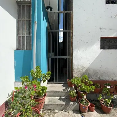 a group of potted plants in front of a door at Habitación para 4 personas a pasos de la plaza de armas in Ayacucho