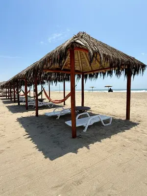 a row of straw umbrellas and chairs on a beach at Bungalows en playa Wakama in San Vicente de Cañete