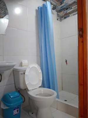 a bathroom with a toilet and a shower at INKA's WALK in Cusco