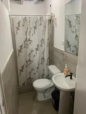 a bathroom with a toilet and a sink at Sasso alojamiento in Barranca