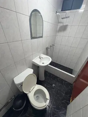 a bathroom with a toilet and a sink at Hospedaje Winikunka in Lima