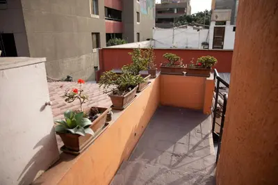 a row of potted plants on a balcony at The film House in Lima