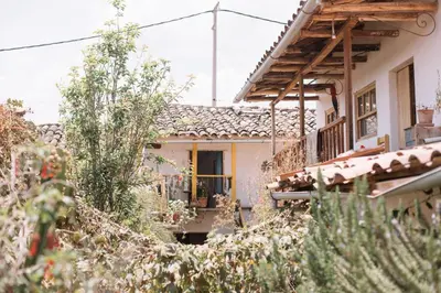 a house with a window and plants in front of it at Casa Takiy in Maras
