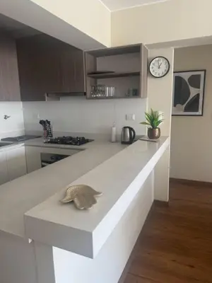 a kitchen with a turtle sitting on a counter at Beautiful brand new apartment in an excellent area in Lima