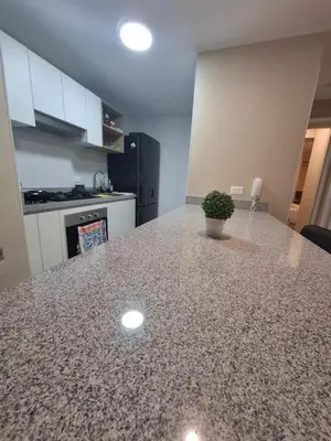 a kitchen with a counter with a potted plant on it at Relajar y trabajar en Miraflores in Lima