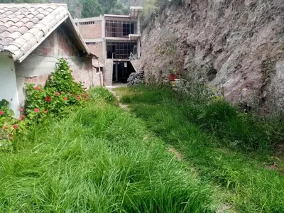 a yard with tall grass next to a building at Hostal Aylluq Wasin - Guest House-Casa de Familia in Urubamba