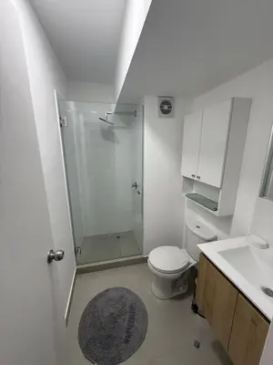 a bathroom with a shower and a toilet and a sink at Apartment in La Victoria in Lima