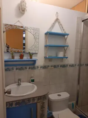 a bathroom with a sink and a toilet and a mirror at Groundfloor, onebedroom apartment in Lima