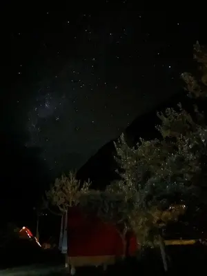 a starry night with trees in the foreground at Hostel el molle capulichayoc in Santa Teresa