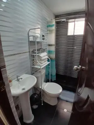 a bathroom with a white toilet and a sink at la casa de Alejandra in Cusco