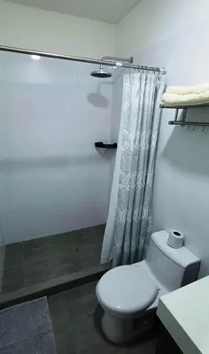 a bathroom with a white toilet and a shower at Apartment in Miraflores - Lima in Lima