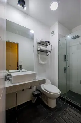 a bathroom with a sink and a toilet and a shower at New apartment in Barranco in Lima