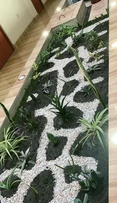 a rock garden with plants in a room at Hostal los Ficus in Ica