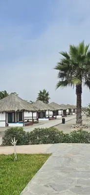 a row of huts with a palm tree and a sidewalk at SKY HOUSE con vista al mar in Chincha Baja