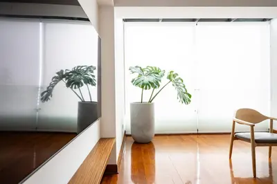 a room with two potted plants in a window at Luxury Duplex Stunning Golf Views - Prime Location in Lima