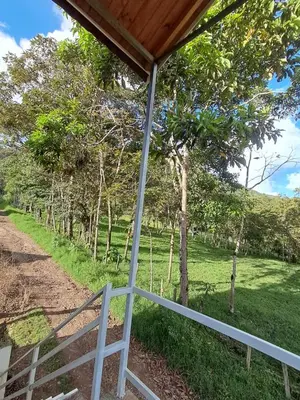 a porch with a fence and trees in the background at Bellavista Hospedaje in Oxapampa