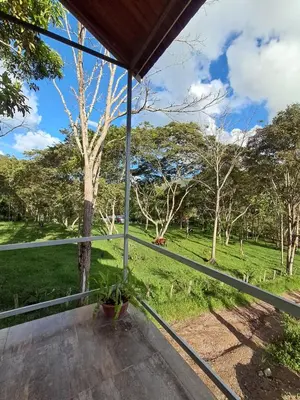 a porch with a view of a field and trees at Bellavista Hospedaje in Oxapampa