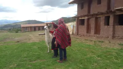 two women standing in a field with a goat at Casa de Gumercindo in Ccorcor