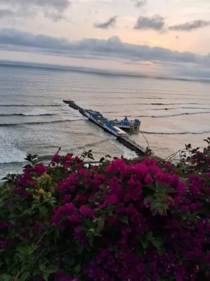 a view of the ocean with flowers and a pier at Casita de Miraflores calle Ocharan a 5 minutos de Larcomar in Lima