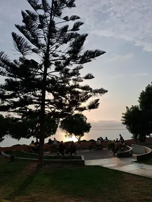 a tree in a park with people sitting on benches at Casita de Miraflores calle Ocharan a 5 minutos de Larcomar in Lima