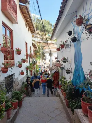 a group of people walking down a alley with potted plants at 7 Borreguitos GUESTHOUSE in Cusco