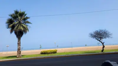 a road with two palm trees and a beach at An apartment with an ocean view, near the airport in Lima