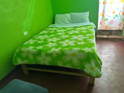 a green bedroom with a bed with a green comforter with flowers at Hospedaje MARY in Quinua