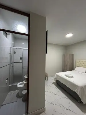 a bedroom with a bed and a shower and a toilet at Nayarak Paracas in Paracas