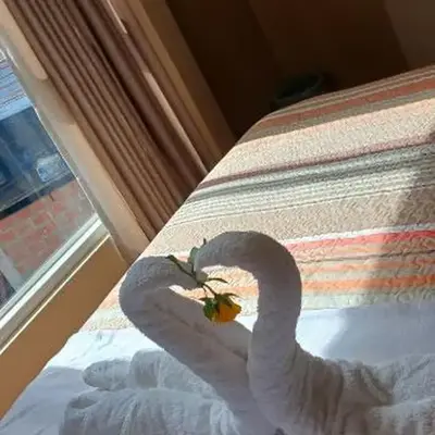 Haylli Café Oro Hotel