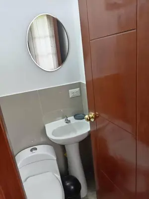 a bathroom with a toilet and a sink and a mirror at Mi lagartitas Bungalow in Oxapampa